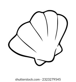 sea shell sketch vector illustration,
isolated on white background.Top view