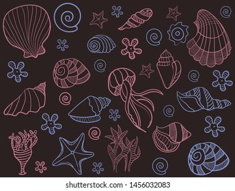 sea shell snail  starfish and jellyfish drawing
