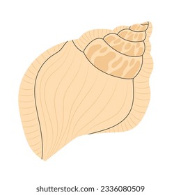 Sea shell with spikes. Spiral twirled seashell. Marine mollusc clam with thorns. Underwater twisted swirled mollusk, shellfish. Flat graphic vector illustration isolated on white background