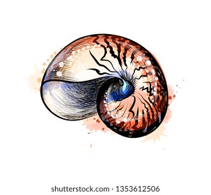 Sea shell from a splash of watercolor, hand drawn sketch. Vector illustration of paints