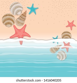 sea shell and star in the sand design