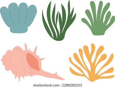 Sea shell starfish coral algae vector illustration