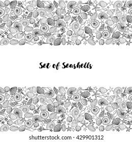 Sea shell and starfish. Drawn in line.