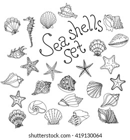 Sea shell, starfish, seashell, nautilus sea fauna ocean aquatic underwater uncolored vector set. Hand drawn marine sea shell marine coloring book style illustration of sea shells on white background. 