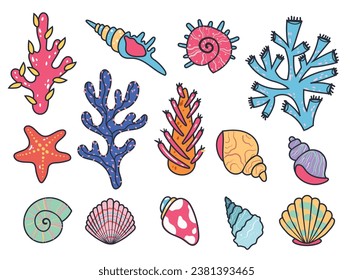 Sea shell starfish snail seashell crustacean ocean life isolated set. Vector graphic design element illustration