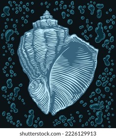 Sea shell underwater. Editable hand drawn illustration. Vector vintage engraving. 8 EPS