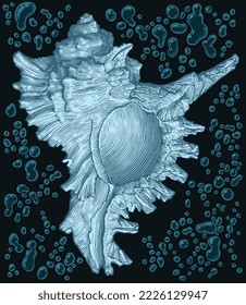 Sea shell underwater. Editable hand drawn illustration. Vector vintage engraving. 8 EPS