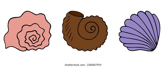 Sea shell. Underwater fossils set. Color vector illustration collection. Former home of the clam. Invertebrate exoskeleton. Cartoon style. Isolated background. Idea for web design.