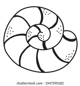 Sea shell. Underwater, marine life of flora and fauna. Decorative vector illustration on a white background. Line, sketch, outline