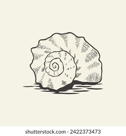 sea ​​snail shell using engraving technique