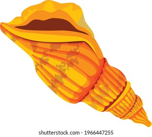Sea Shell vector art and illustration