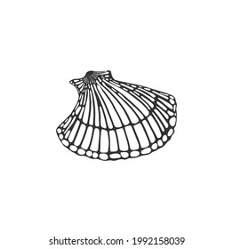 Sea shell vector black outline seashell marine mollusk beautiful vector seashells. Illustration marine design for fabrics, textiles, packaging, paper. Concept of under water ocean