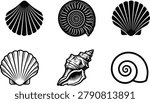 Sea shell vector collection featuring black line art and stencil icons of scallop clam spiral and conch shells.