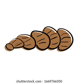 Sea shell. Vector doodle illustration. Isolated on white.