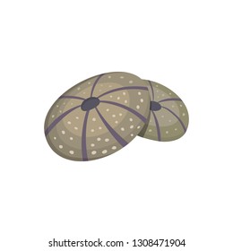 Sea shell vector icon in cartoon style.