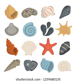 Sea Shell Vector Icons In Cartoon Style. Set Of Clam Mollusc. Ocean Cockleshell.