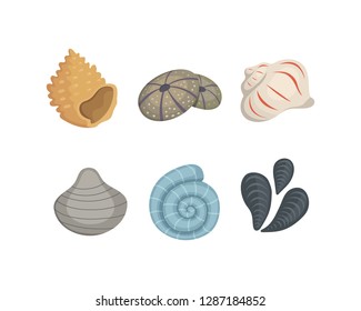 Sea shell vector icons in cartoon style. Set of clam mollusc. Ocean cockleshell.