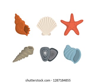 Sea shell vector icons in cartoon style. Set of clam mollusc. Ocean cockleshell.