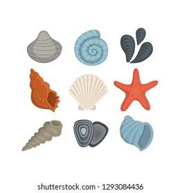 Sea shell vector icons in cartoon style. Set of clam mollusc. Ocean cockleshell.