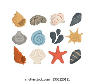 Iconos vectoriales de conchas marinas en estilo de caricatura. Conjunto de moluscos de almeja. Caramelos oceánicos.