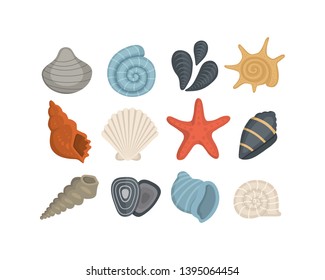 Sea Shell Vector Icons In Cartoon Style. Set Of Clam Mollusc. Ocean Cockleshell.