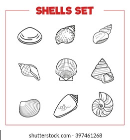 Sea Shell Vector Illustration Concept Set Stock Vector (Royalty Free ...