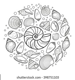 sea shell vector illustration concept set. Web design, advertisement, journal, poster, banner, print decoration element 
