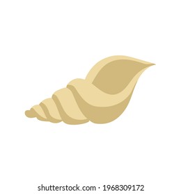 Sea shell. Vector illustration. Decorative cute element. Summer beach print.