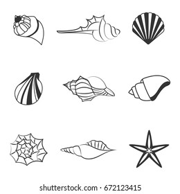 Sea shell vector illustration of line silhouettes