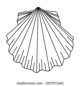 Sea Shell Vector Illustration. Outline Hand Drawing Of Scallop. Design Element