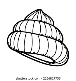 Sea shell. Vector isolated illustration on white background.