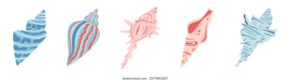 Sea shell vector set. Ocean exotic underwater seashell conch aquatic mollusk, sea spiral snail collection. Tropical beach shells. Modern flat style isolated on white background. 