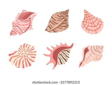 Sea shell vector set. Ocean exotic underwater seashell conch aquatic mollusk, sea spiral snail collection. Tropical beach shells. Modern flat style isolated on white background. 