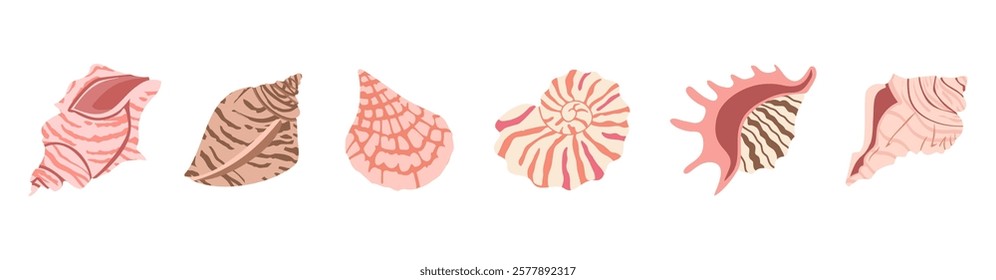 Sea shell vector set. Ocean exotic underwater seashell conch aquatic mollusk, sea spiral snail collection. Tropical beach shells. Modern flat style isolated on white background. 