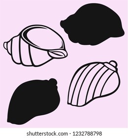 sea shell vector silhouette isolated