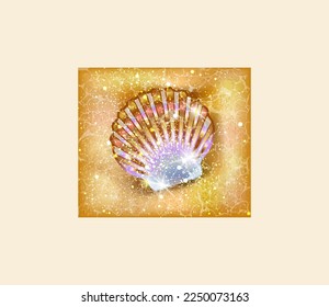 Sea shell vip background, vector illustration