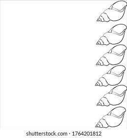 sea shell in white background