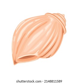 sea shell wildlife icon isolated