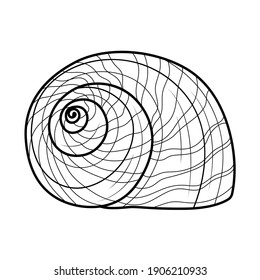 Sea shell.Coloring book  for children and adults. Illustration isolated on white background.Black and white drawing.Hand draw