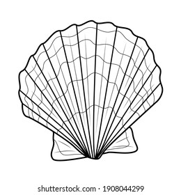 Sea Shellcoloring Book Children Adults Illustration Stock Vector ...