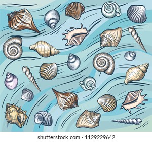 sea shellfish and seashells. vector color illustration. template
