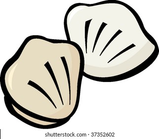 sea shells