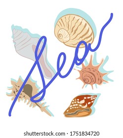 Conchas marinas y conjunto de vectores de elementos de diseño de caligrafía para escritura a mano