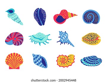 Sea shells. Cartoon tropical underwater clam and marine animal collection, ocean seafood and aquarium decoration. Vector isolated set