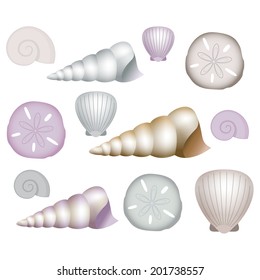 Sea Shells Clip Art Illustrations.