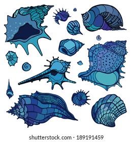 Sea shells collection. Hand drawn vector illustration