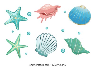 Ilustración vectorial de la colección de conchas marinas. Aislado sobre fondo blanco.