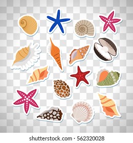 Sea shells cute stickers, vector set on the transparent background