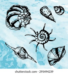 Sea shells decorative icons