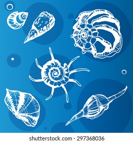 Sea shells decorative icons